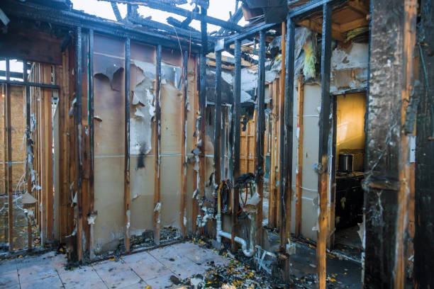 Professional Odor Removal technician working in Bethel, OH