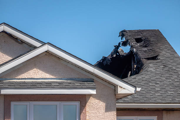 Top rated local Odor Removal specialists in Bethel, OH